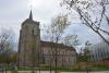 Photo: Piet Bron. Datation: 11 October 2017.